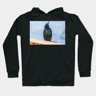 Look up Hoodie